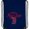 The Northwest MLB Boston Red Sox Team Spirit Back Sack Drawstring Sling Bag MA